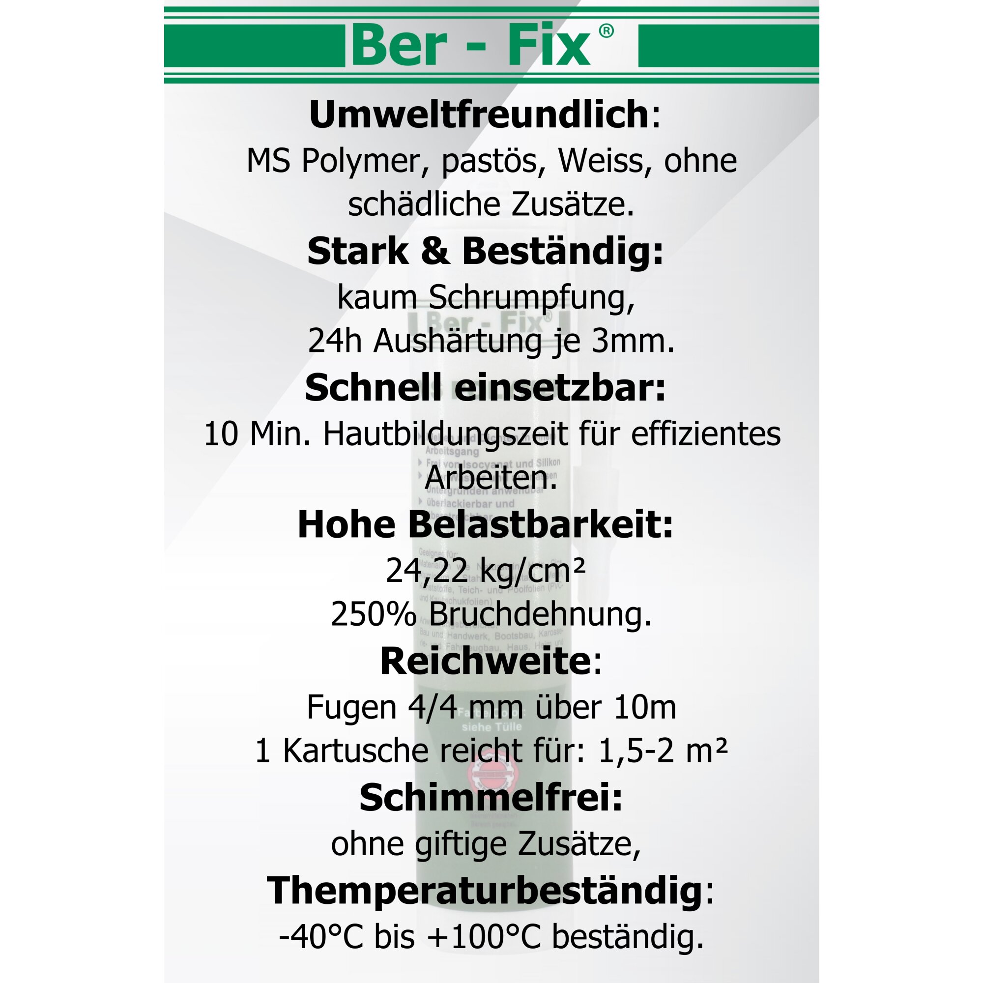 Ber-Fix® MS-Polymer weiß 10x